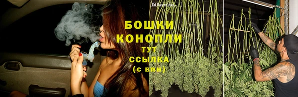 спиды Богданович