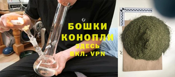 спиды Богданович